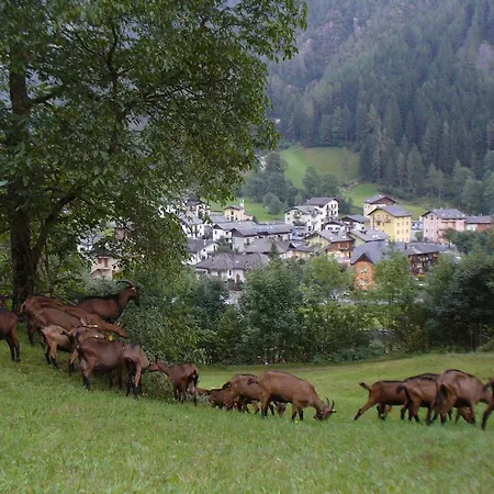 Farm stay Alle Baite Branzi