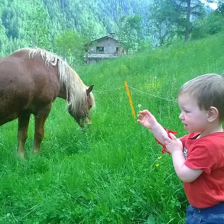 Alle Baite Farm stay