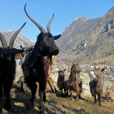 Alle Baite Farm stay Branzi