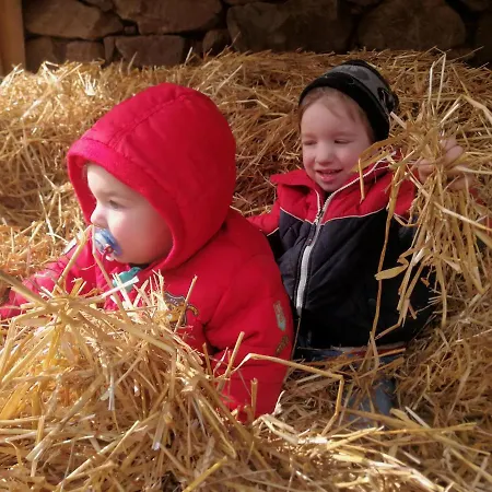 Alle Baite Farm stay Branzi