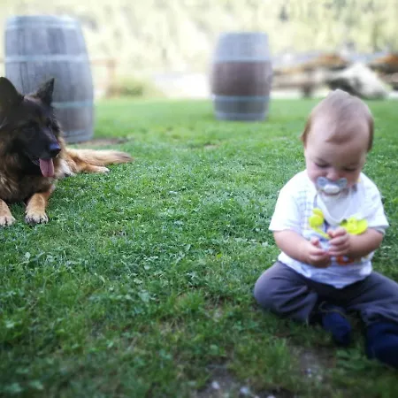 Farm stay Alle Baite