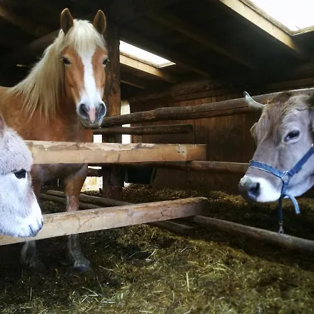 Alle Baite Farm stay